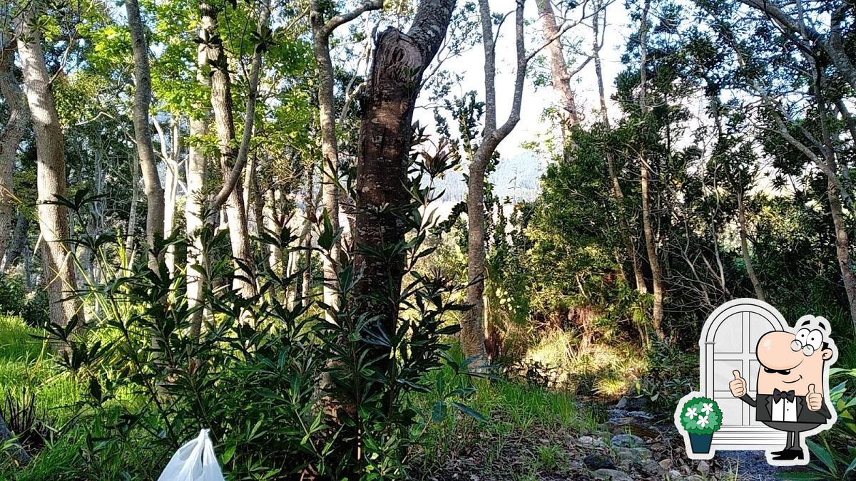 Picnic area restaurant, Le Cap Critiques de restaurant
