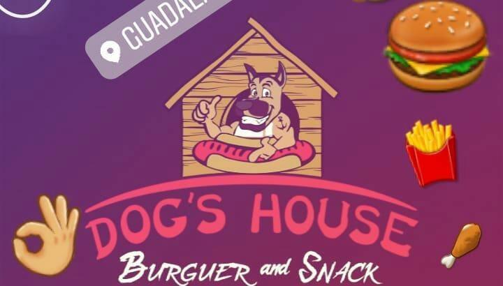 dog house snack