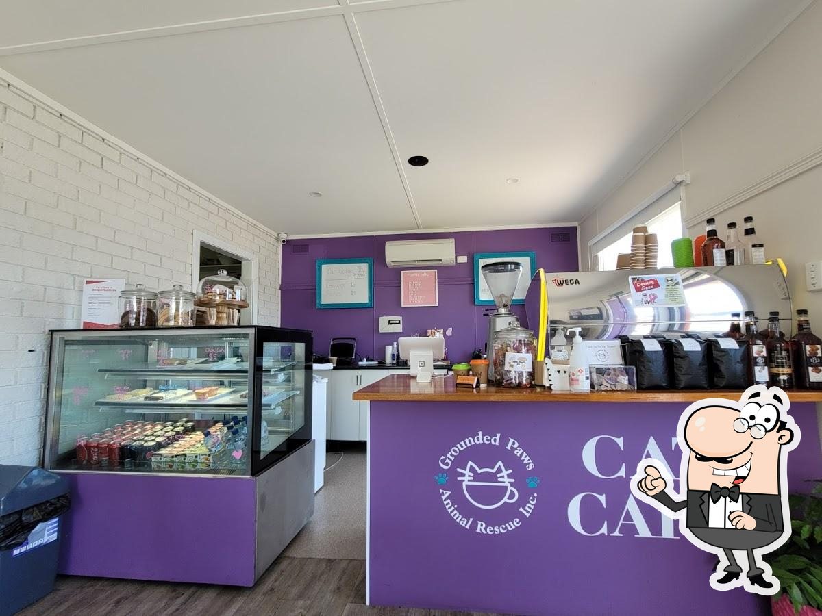 Grounded Paws Animal Rescue & Cat Cafe, Traralgon Carta del