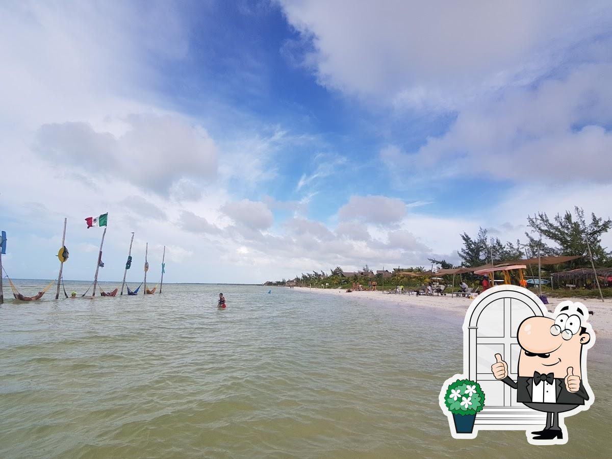 Aprender acerca 76+ imagen mantarraya beach club holbox Abzlocal.mx