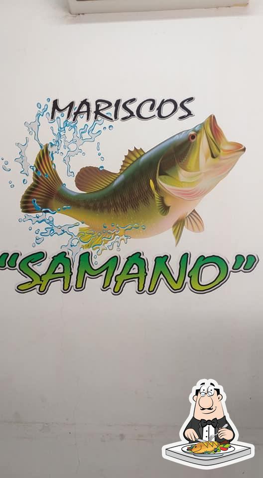 Restaurante Mariscos Samano, Culiacán Rosales, Av. Ing. Manuel Bonilla 534B  - Opiniones del restaurante