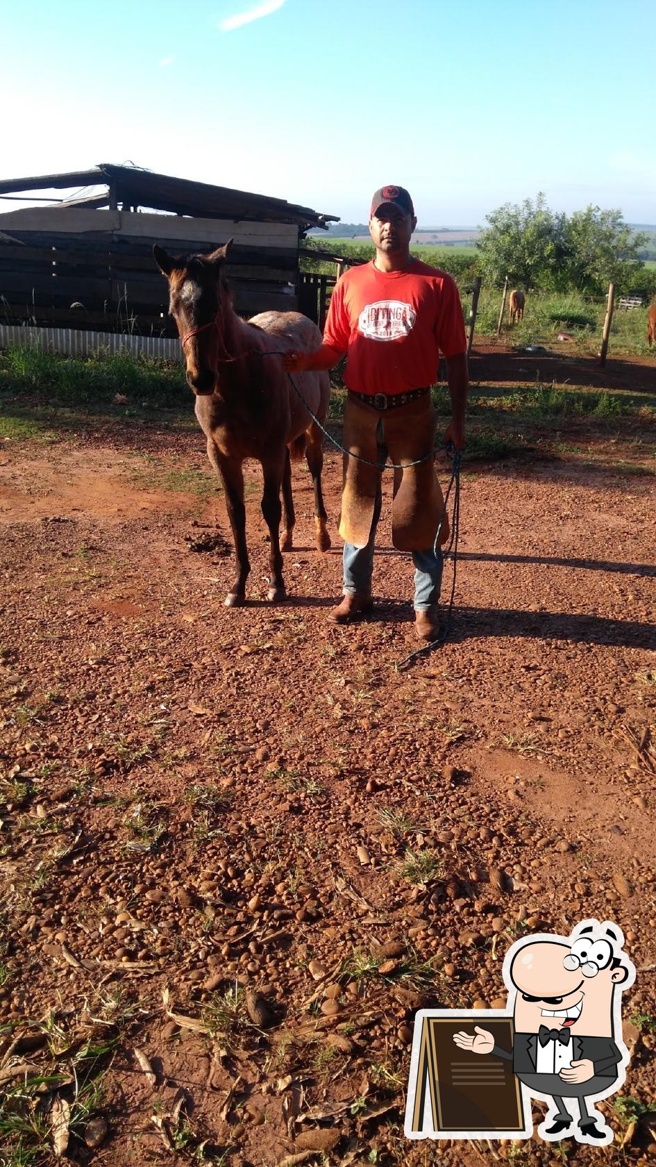 Clubes Clube de Campo Andreza no Agito Ibitinga