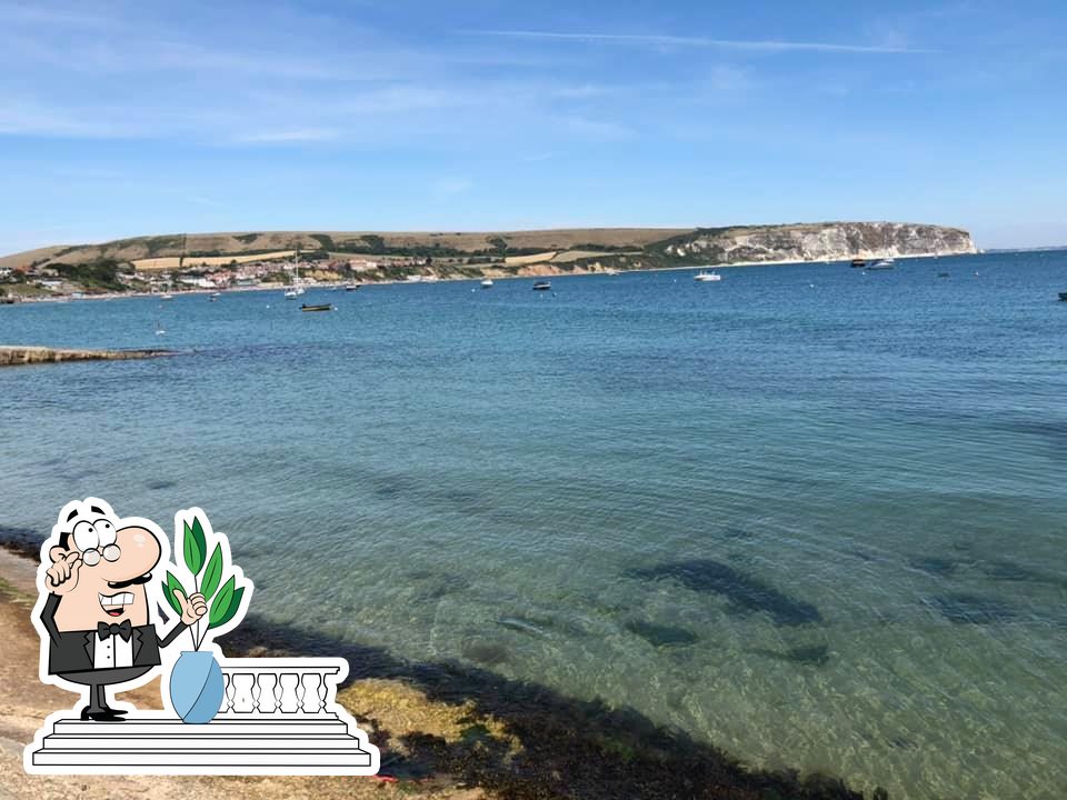 Top Deck Oyster And Seafood Bar in Swanage Restaurant reviews