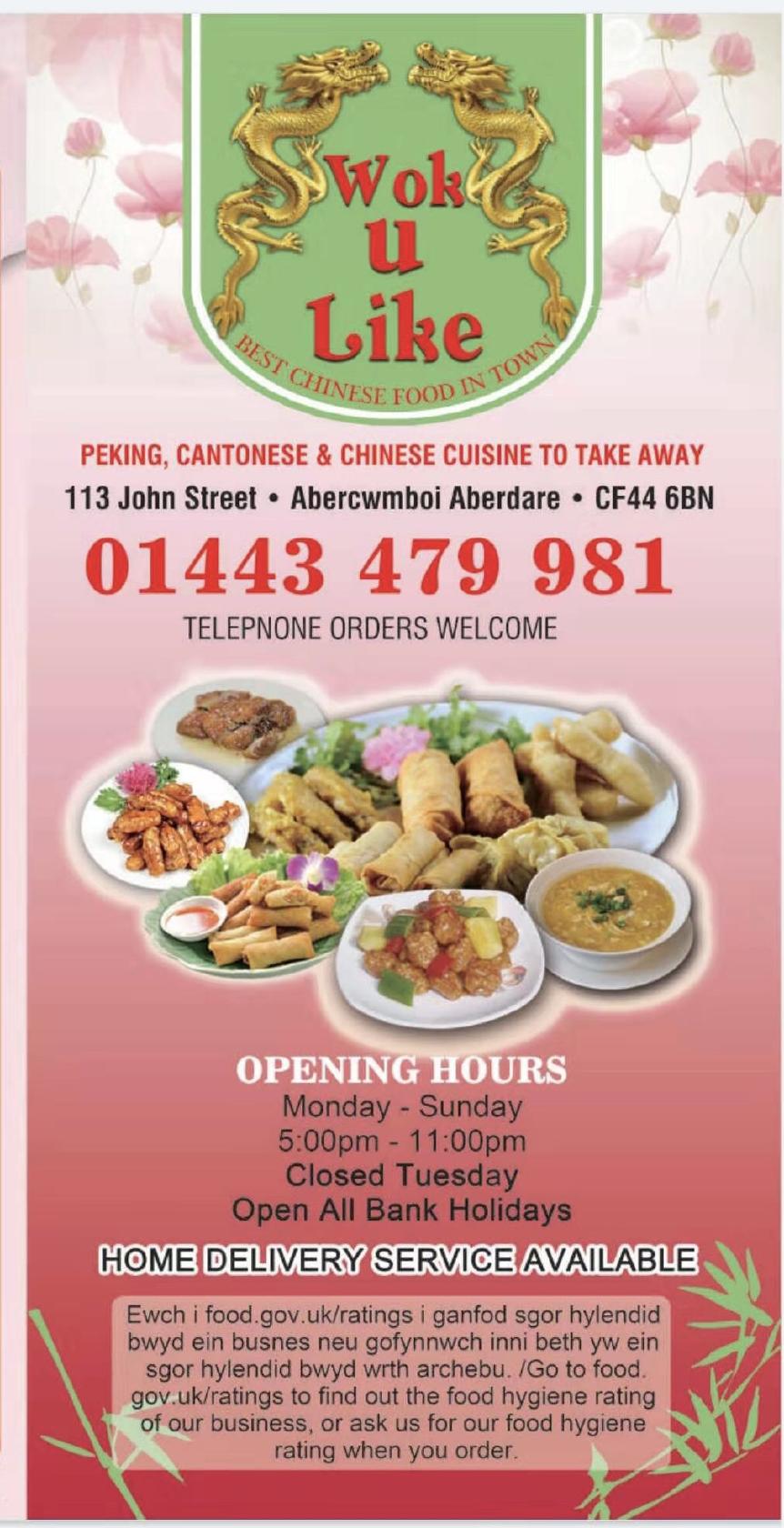 Menu at Wok U Like Abercwmboi restaurant, Aberdare