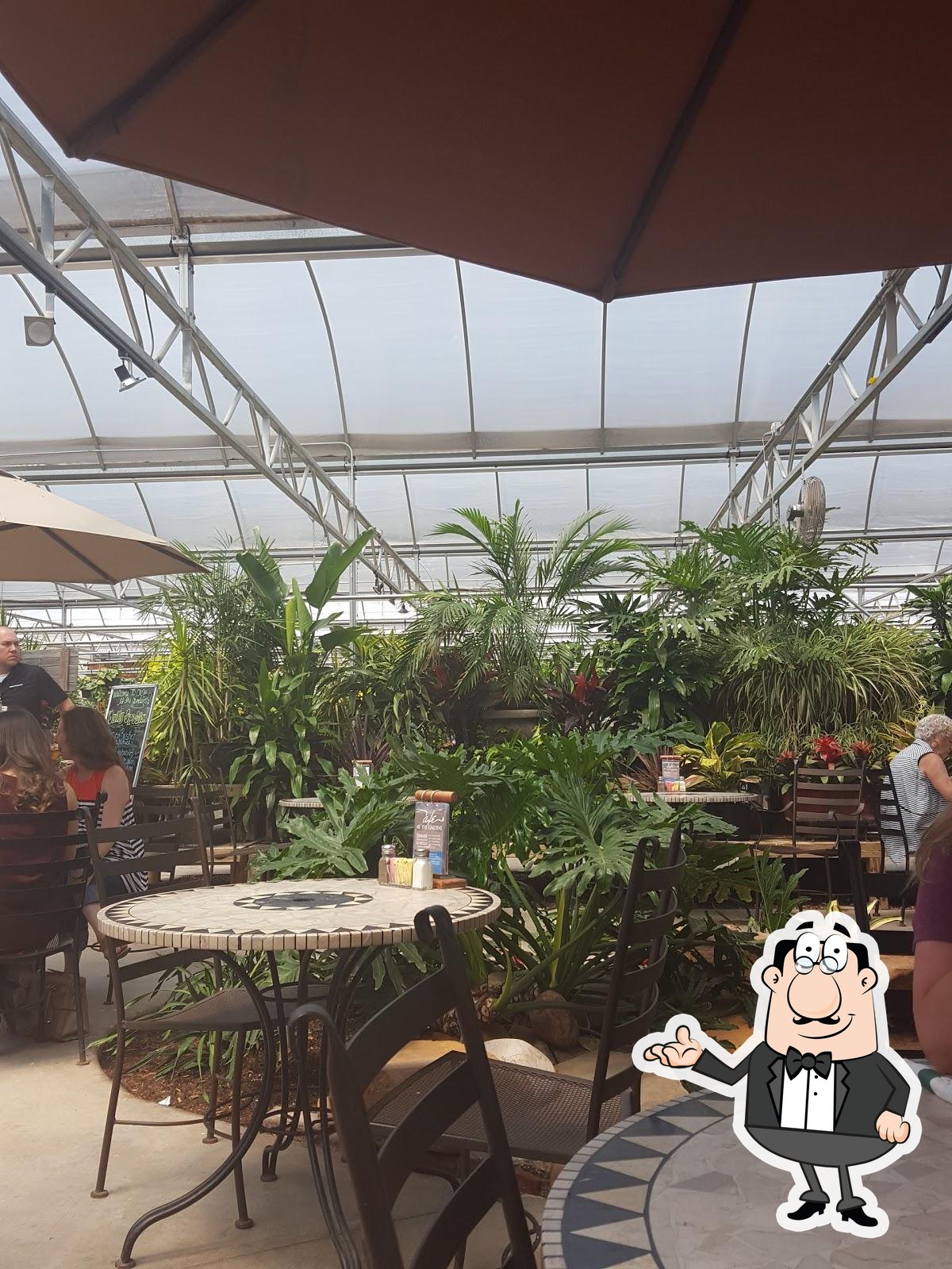 Alldredge Gardens Cafe Midland Texas Fasci Garden