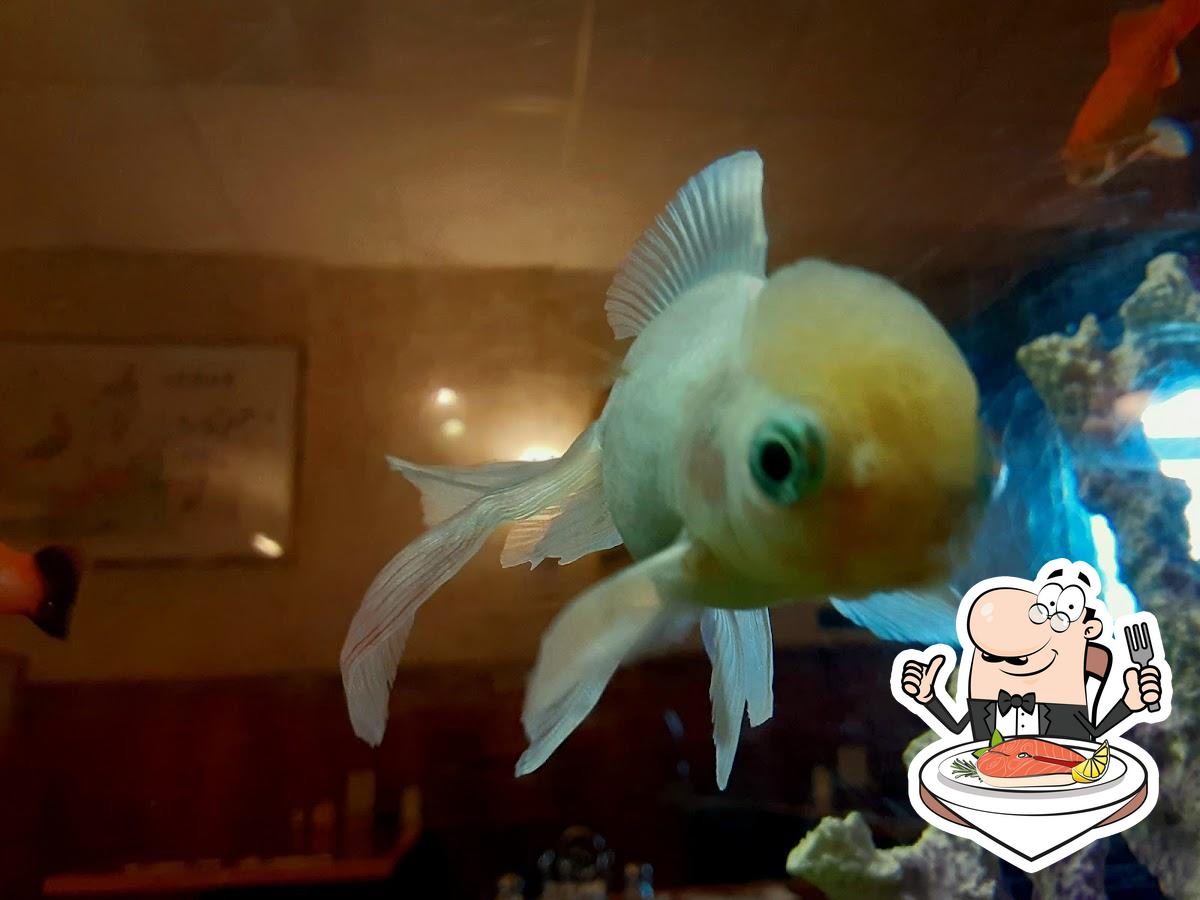 Golden Palace Restaurant in Caldwell Restaurant reviews