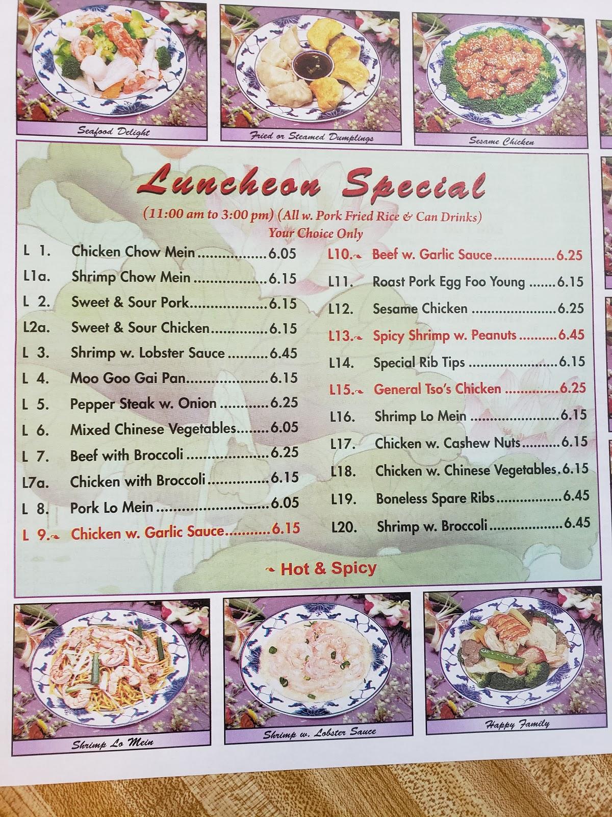 Menu at China Town restaurant, Hudson