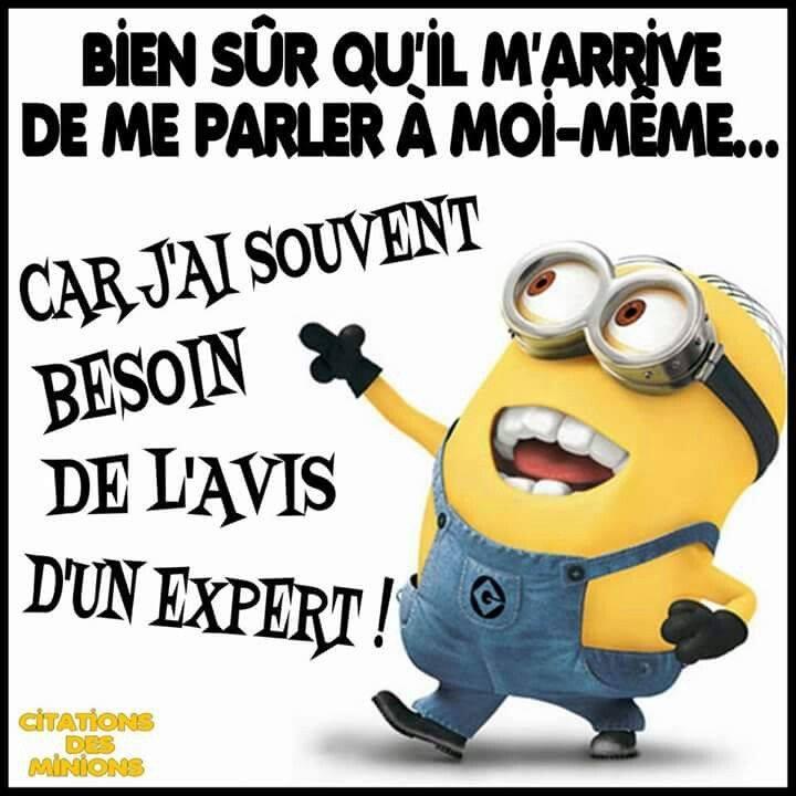 Noiro Les Cafes Dax Restaurant Reviews