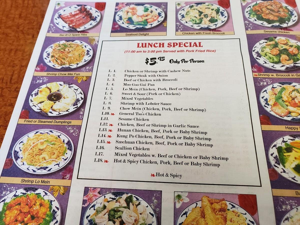 menu-at-spring-garden-chinese-restaurant-spencer