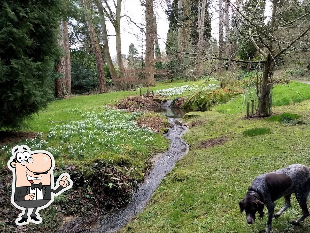 are dogs allowed in batsford arboretum