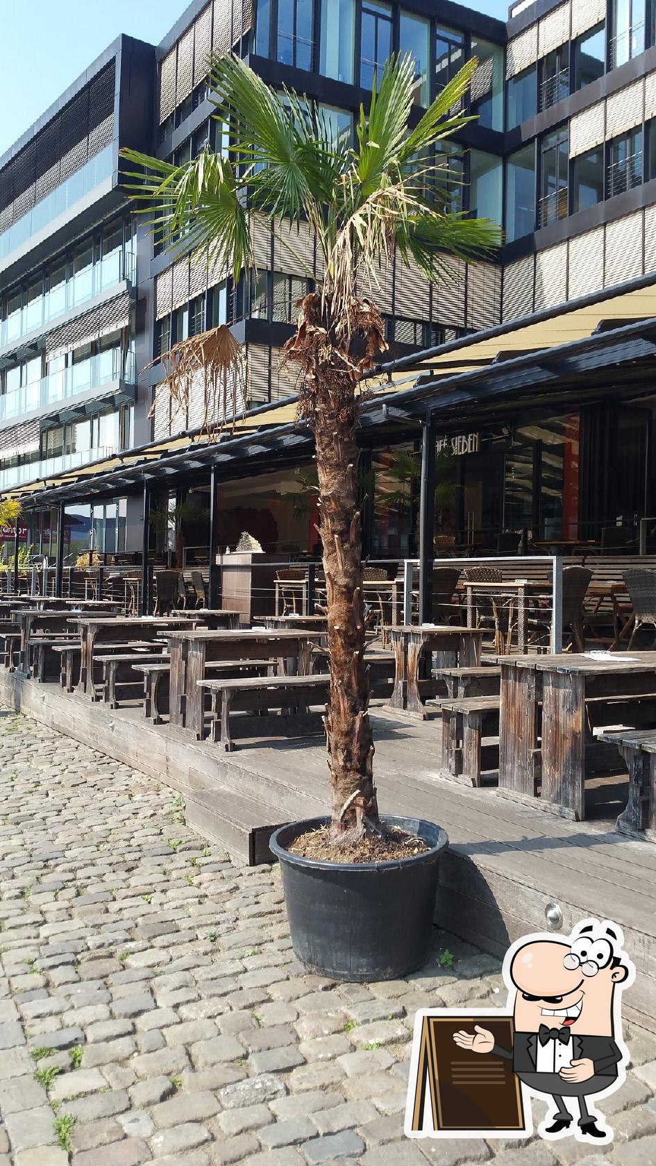 Coconut Beach pub & bar, Münster, Am Hawerkamp 29a Restaurant reviews