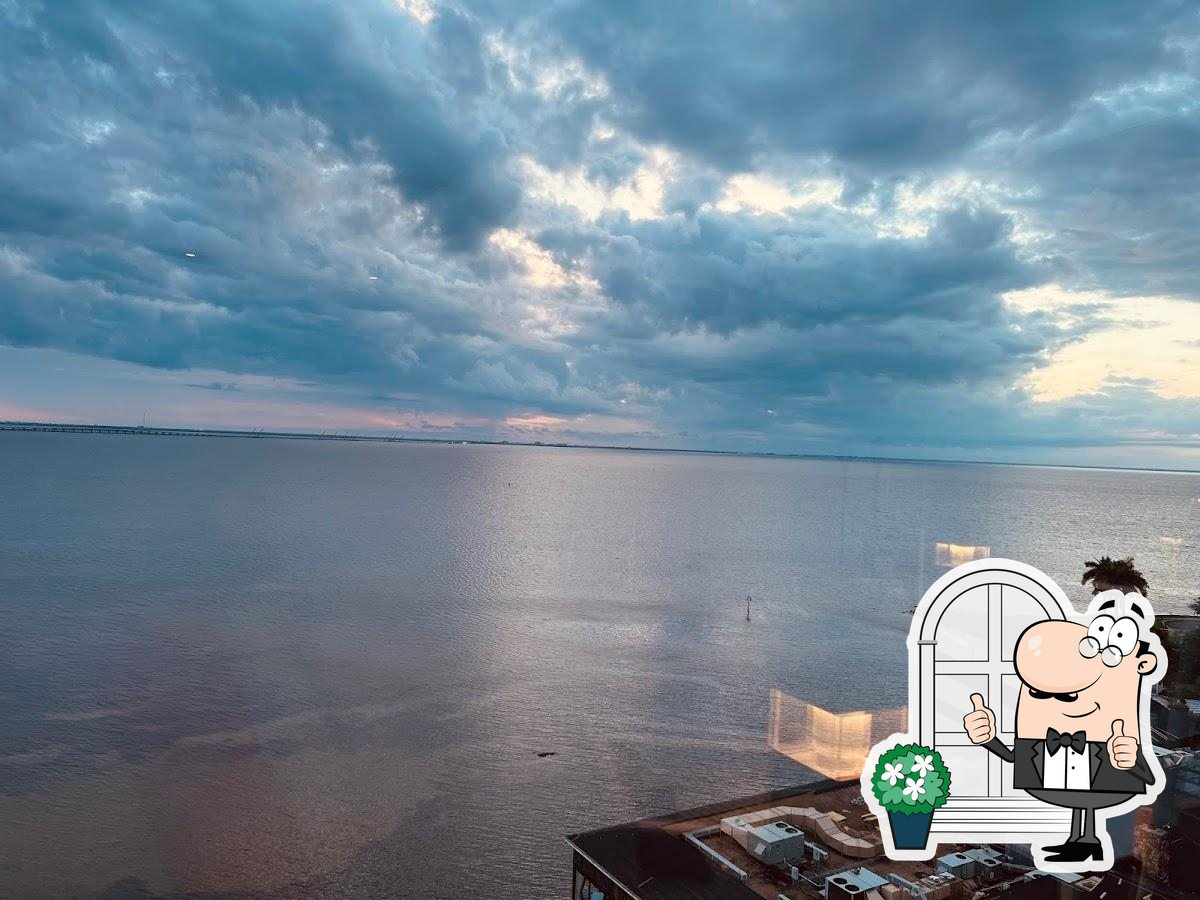 Rox Rooftop Bar in Tampa Restaurant menu and reviews