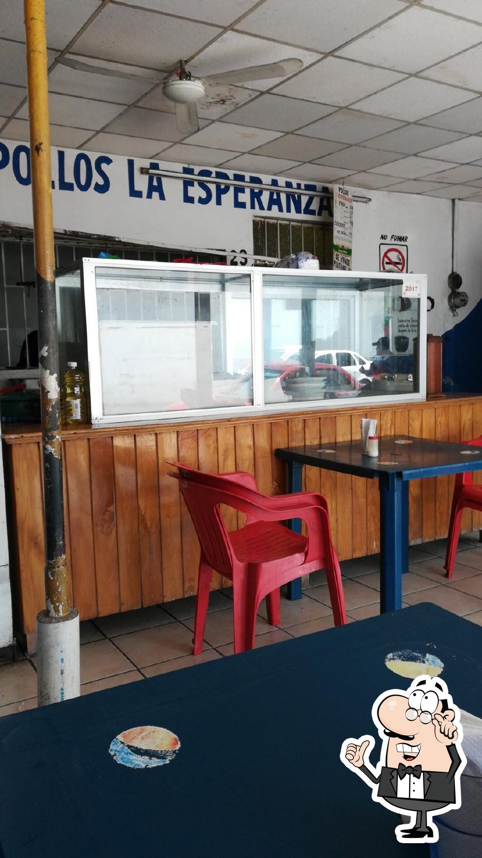 Introducir 44+ imagen pollos la esperanza Abzlocal.mx