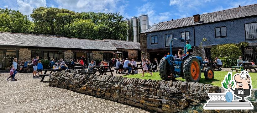 Healeys Cornish Cyder Farm in Perranzabuloe - Restaurant reviews