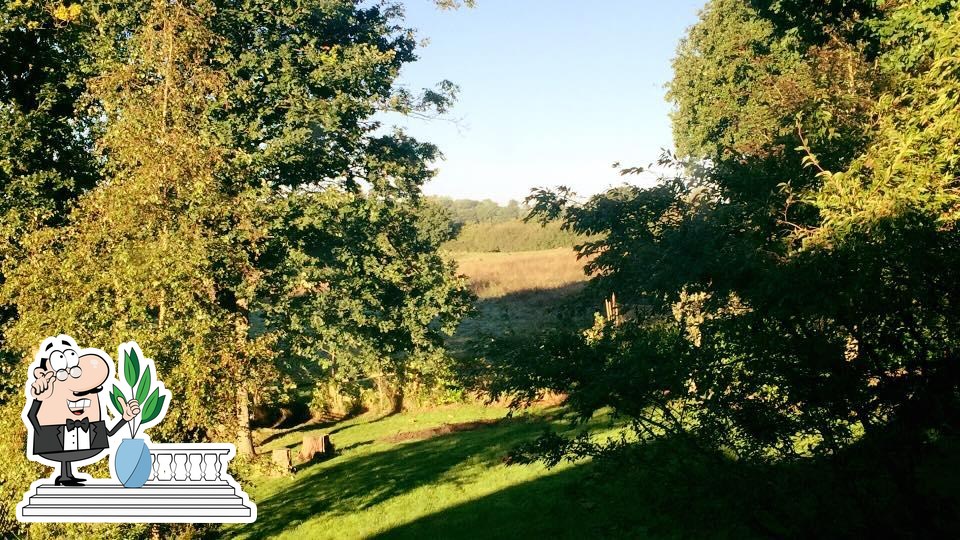 Woodland tea rooms, 390 Barkham Road in Wokingham Restaurant reviews