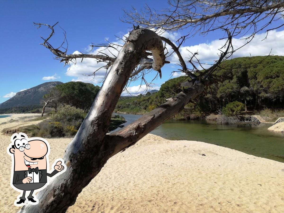 Trattoria Su Petrosu E Su petrosu In riva al bar, Orosei - Menu del  ristorante, prezzi e recensioni
