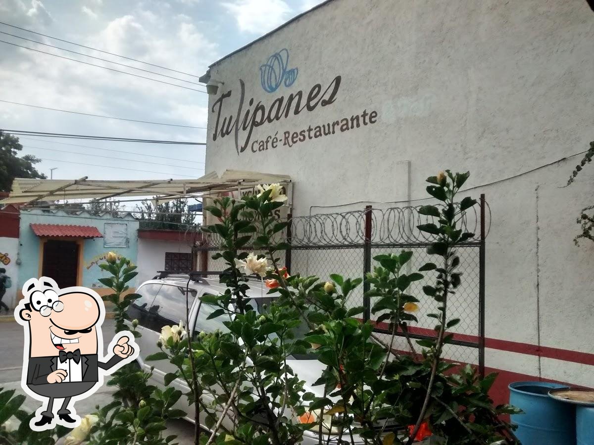 Tulipanes Cafe, Tenango del Aire - Opiniones del restaurante