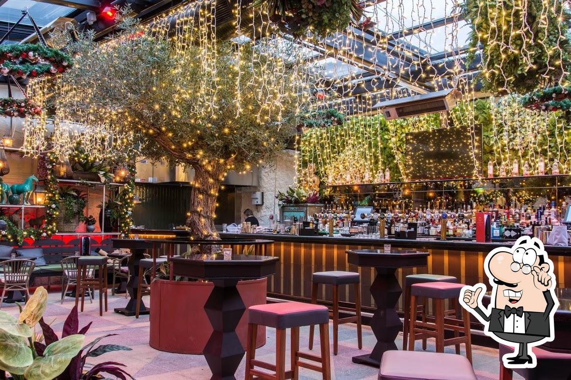 Botanical Garden Bar in Dublin - Restaurant reviews