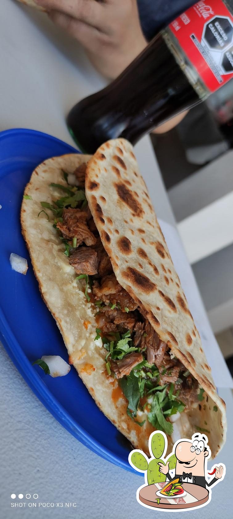 Restaurante TACOS DE BIRRIA ALEX, Rosarito - Opiniones del restaurante