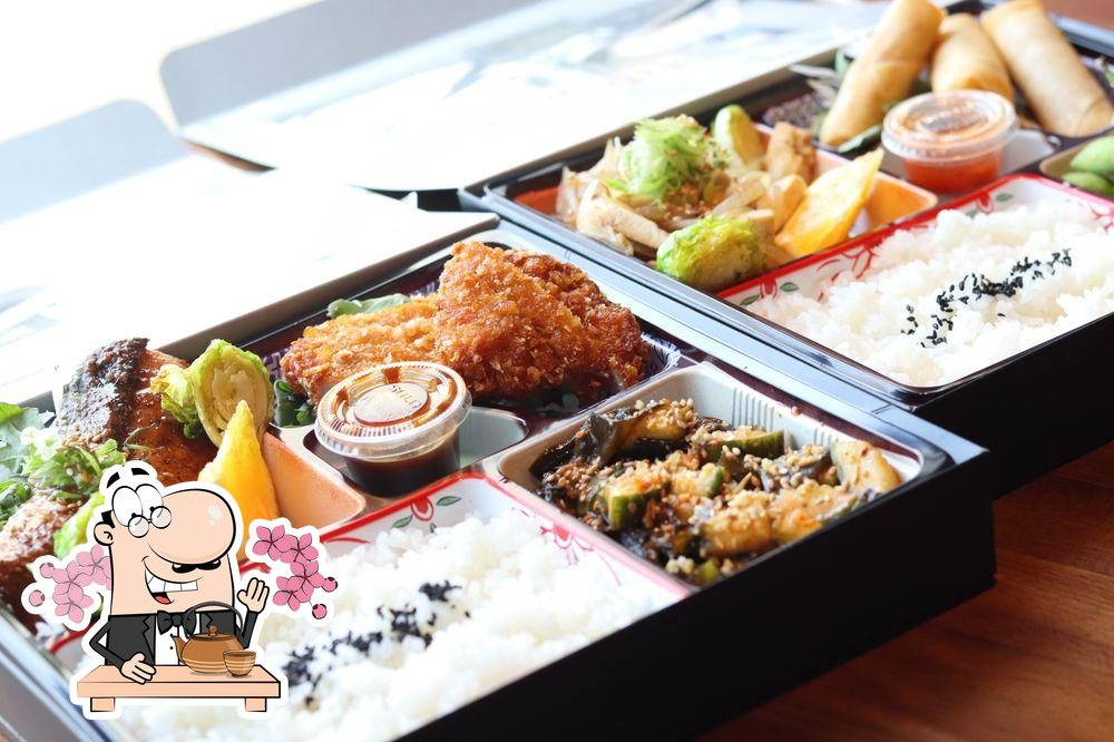 hako bento box