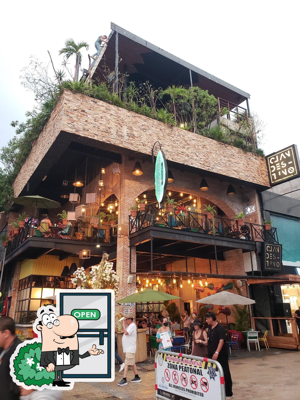 Clandestino RoofTop pub & bar, Playa del Carmen - Restaurant reviews