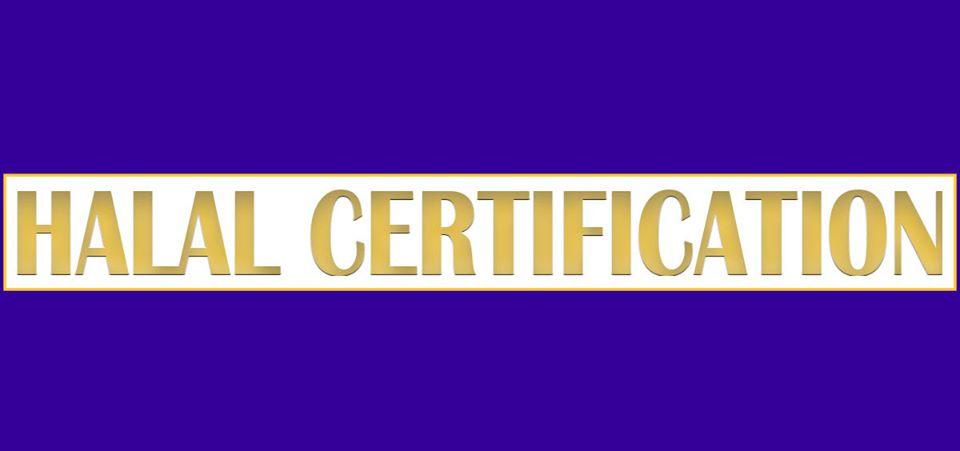HALAL CERTIFICATION REQUIREMENTS IN INDIA visual data 3