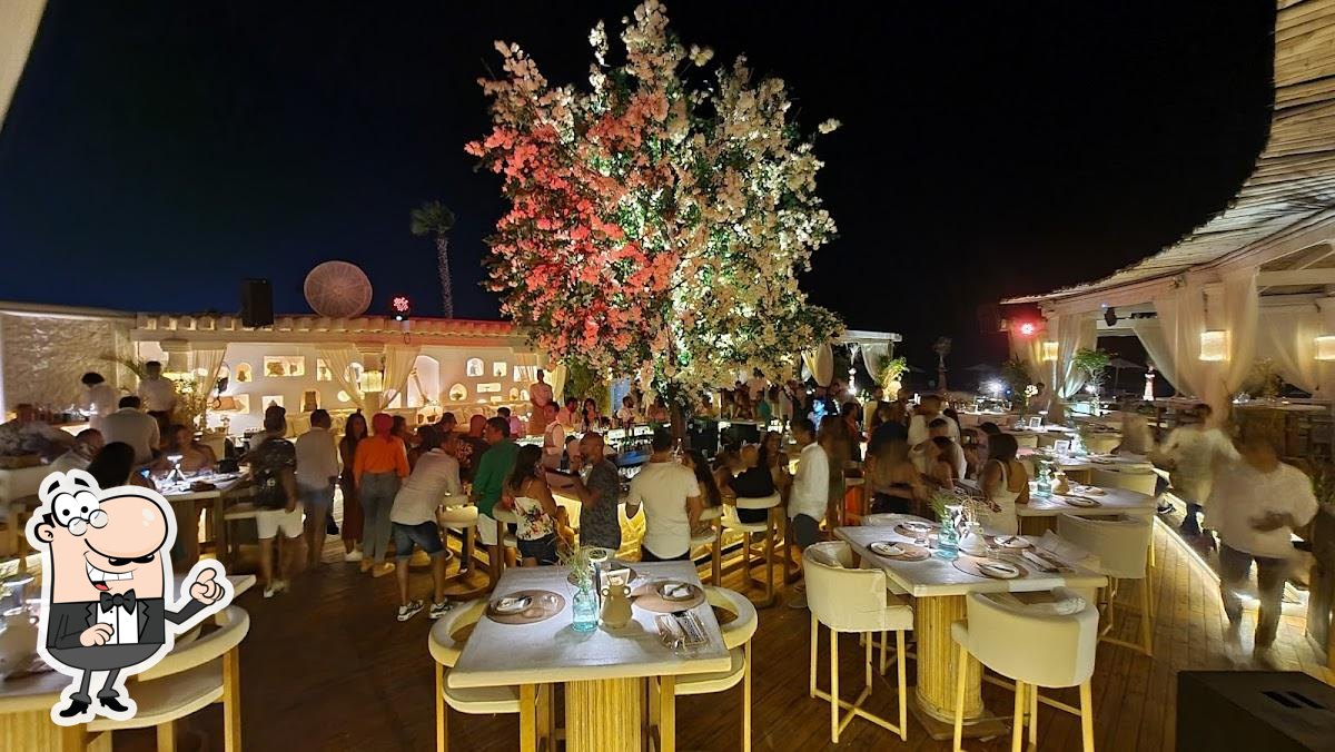 The Lemon Tree & Co. Hacienda White restaurant, Marina El Alamein