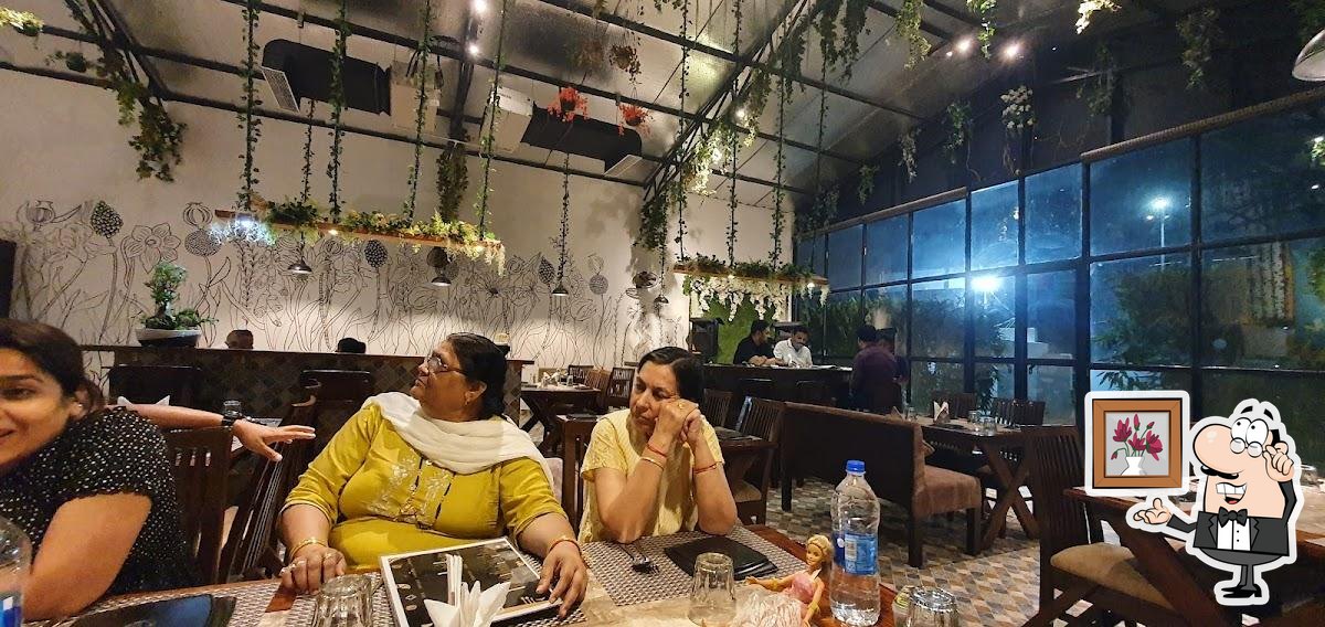 Ryan's Kitchen, Raipur Restaurant reviews