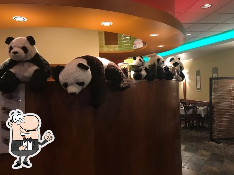 panda garden hwy 6 sugar land