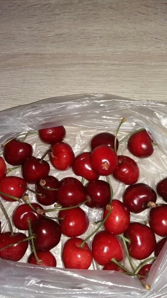 Menu at The Jolly Forest Fryer restaurant, Cinderford