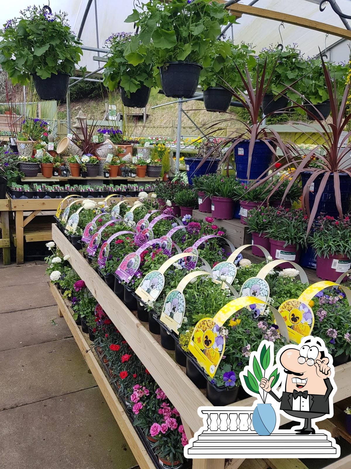 Birchencliffe Garden Centre, 75 Birchencliffe Hill Rd in Huddersfield ...