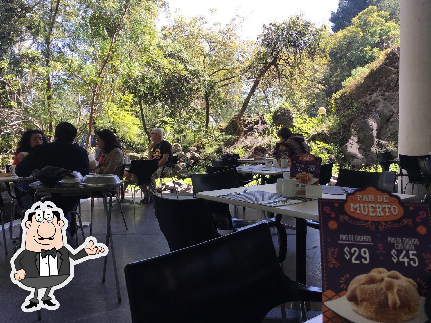 Cafetería MUAC, Ciudad de México - Opiniones del restaurante