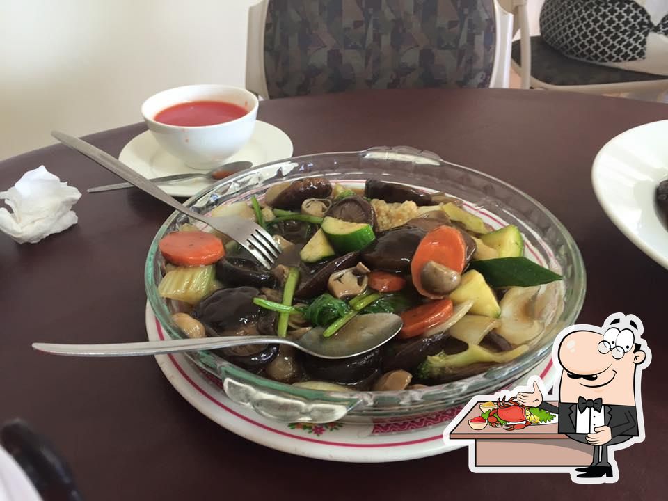 Lotus Village Chinese Takeaway in South Toowoomba Restaurant menu and
