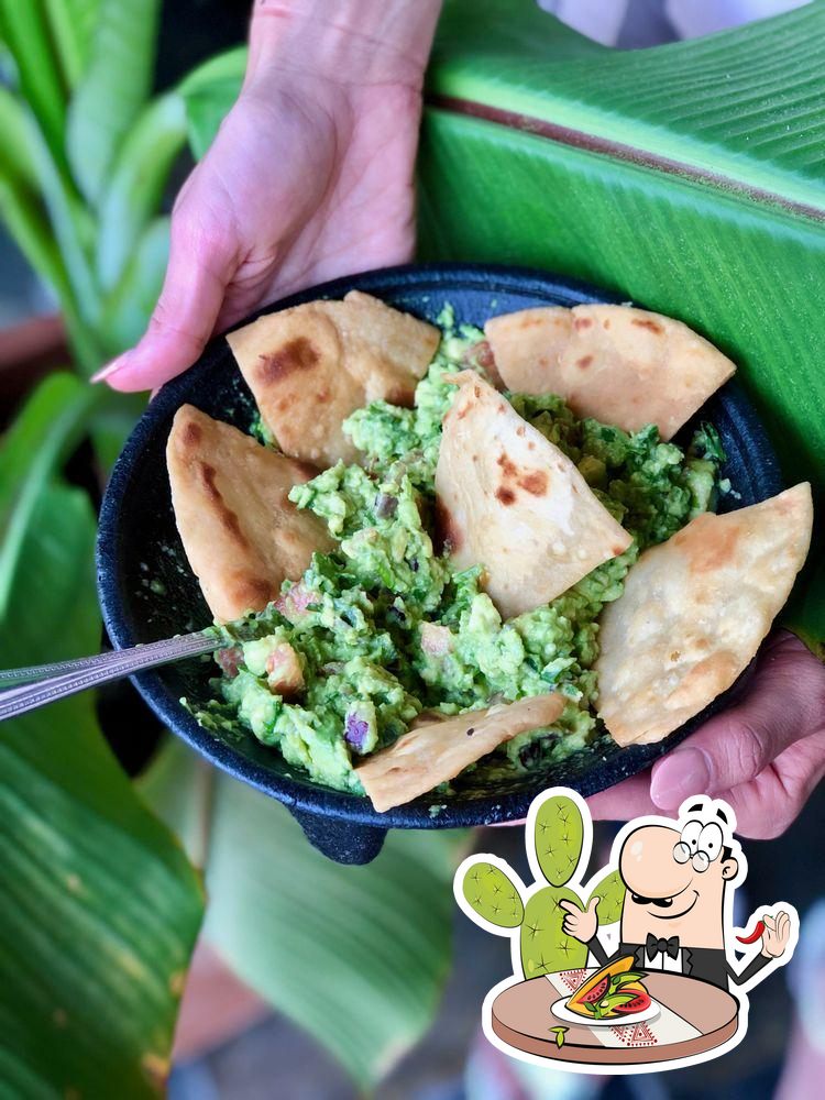 Los Cucos Mexican Cafe, 17386 Northwest Fwy in Jersey Village Restaurant menu and reviews