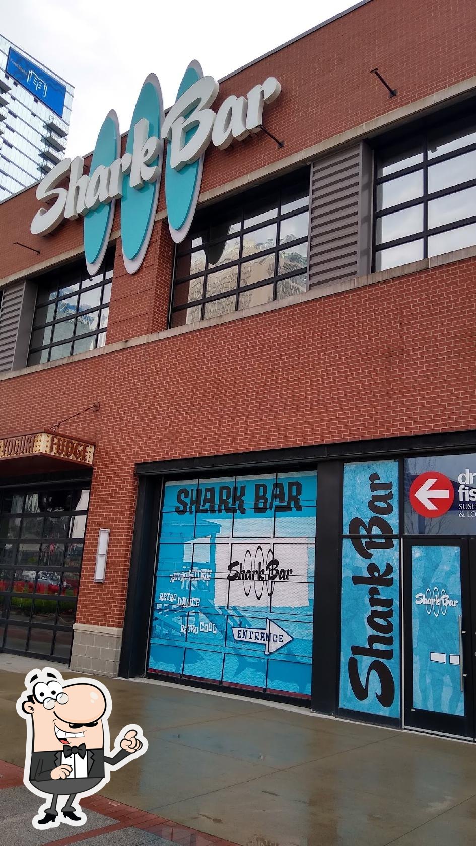 Shark Bar STL, Bar