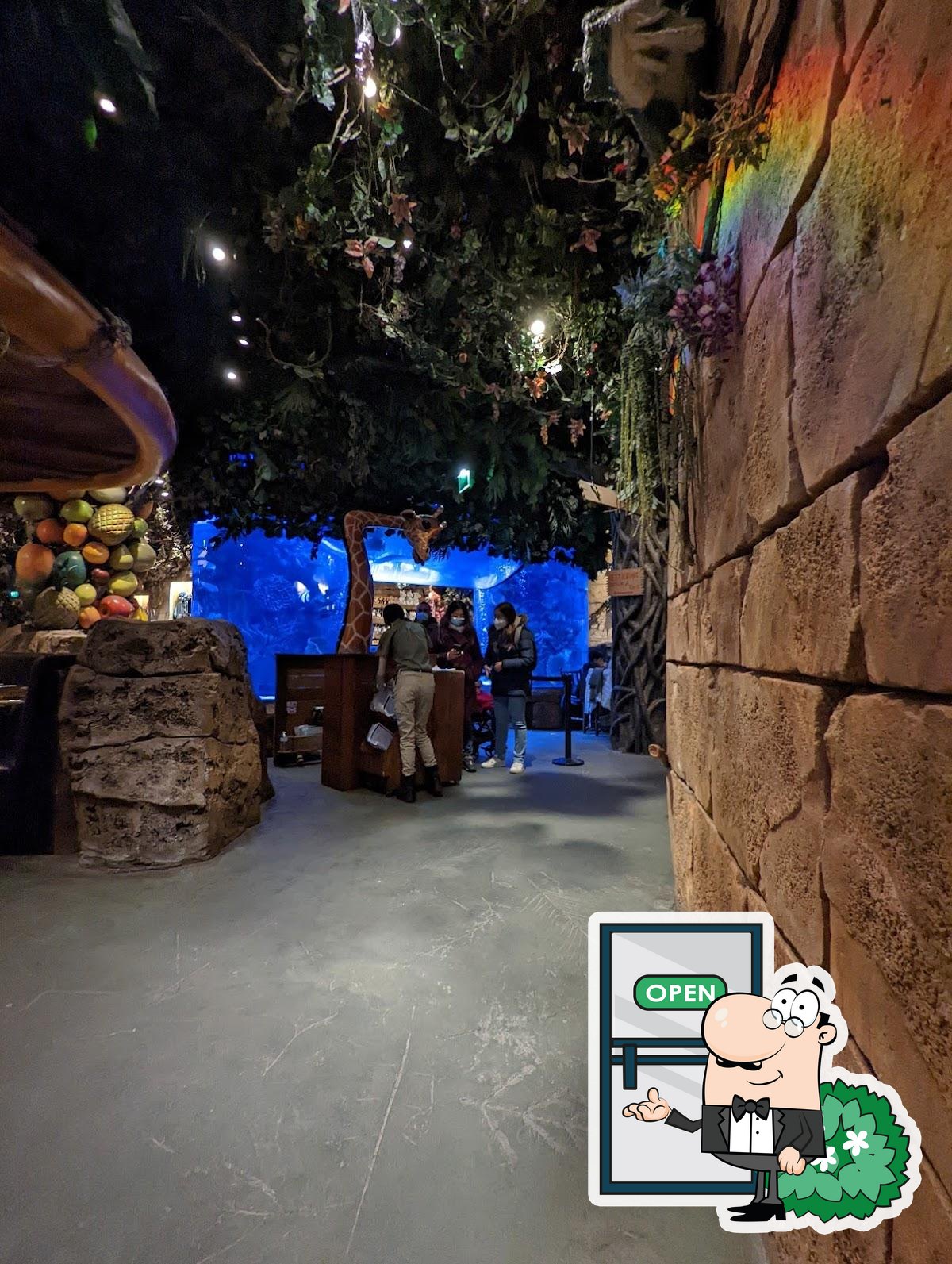 Rainforest Café, Chessy, 77700 Île-de-France, France • Relate