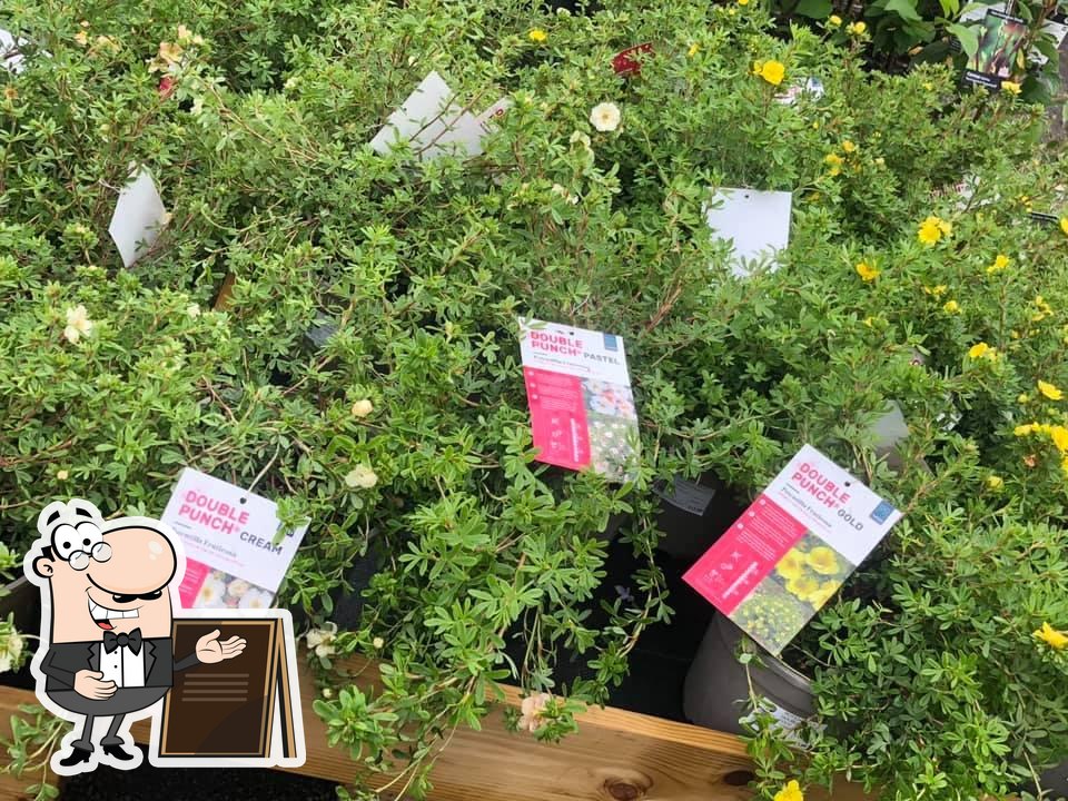 Strikes Garden Centre in Northallerton Restaurant reviews