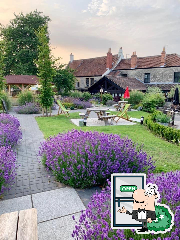 The Crown In Saltford, 500 Bath Rd in Saltford Restaurant menu and