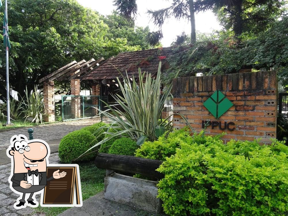 IPPUC - Instituto de Pesquisa e Planejamento Urbano de Curitiba ...