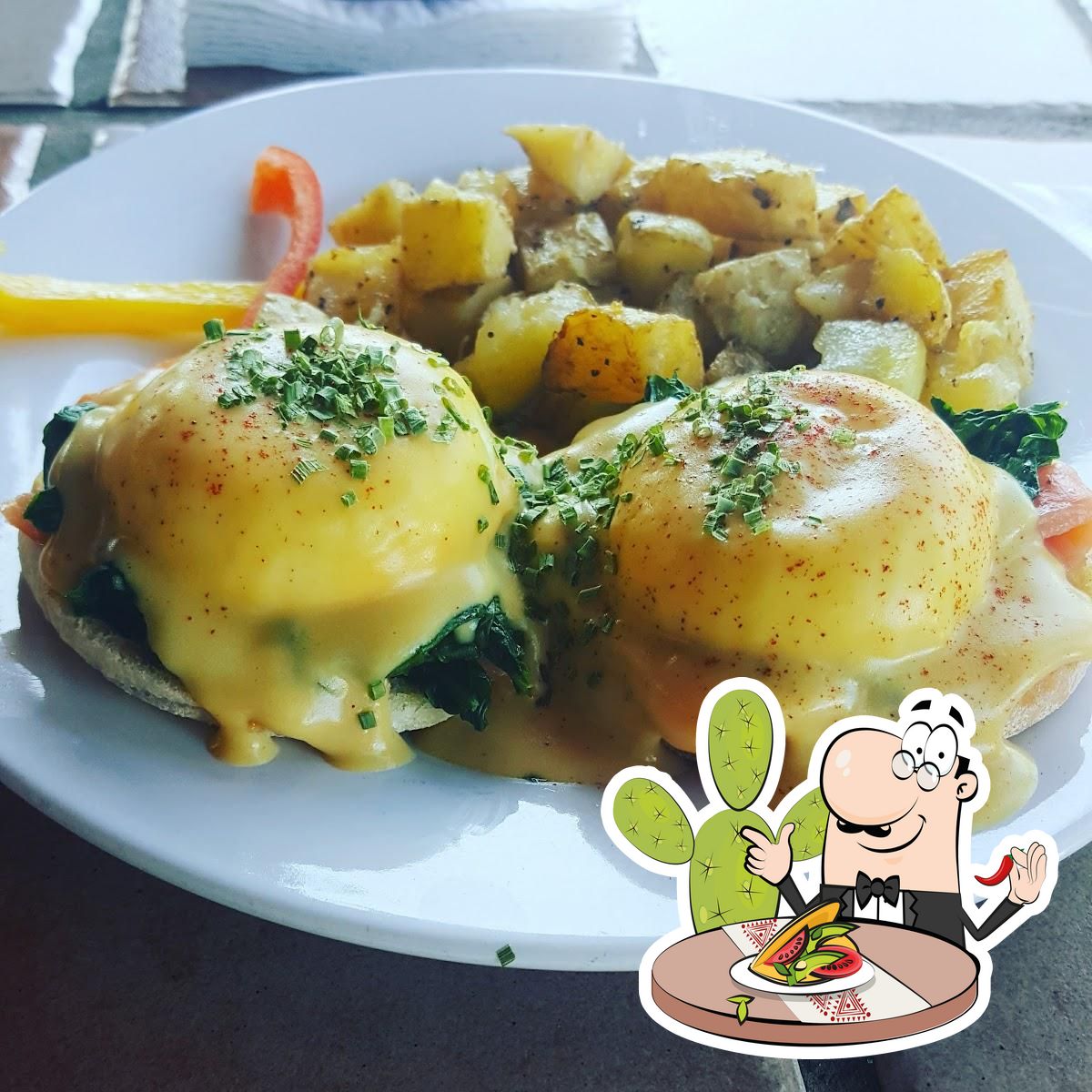 Chimichangas de agucate - Picture of Allegro Caffe, Mazatlan - Tripadvisor