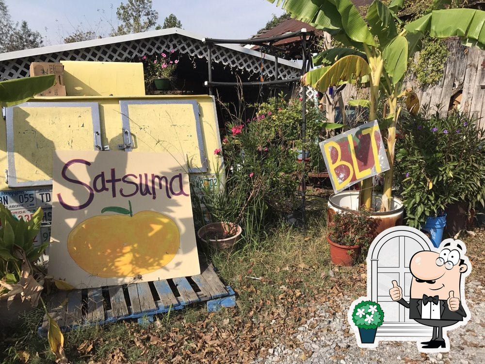 The Tomato Place in Vicksburg Restaurant menu and reviews