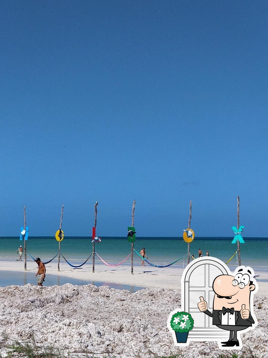 Aprender acerca 76+ imagen mantarraya beach club holbox Abzlocal.mx