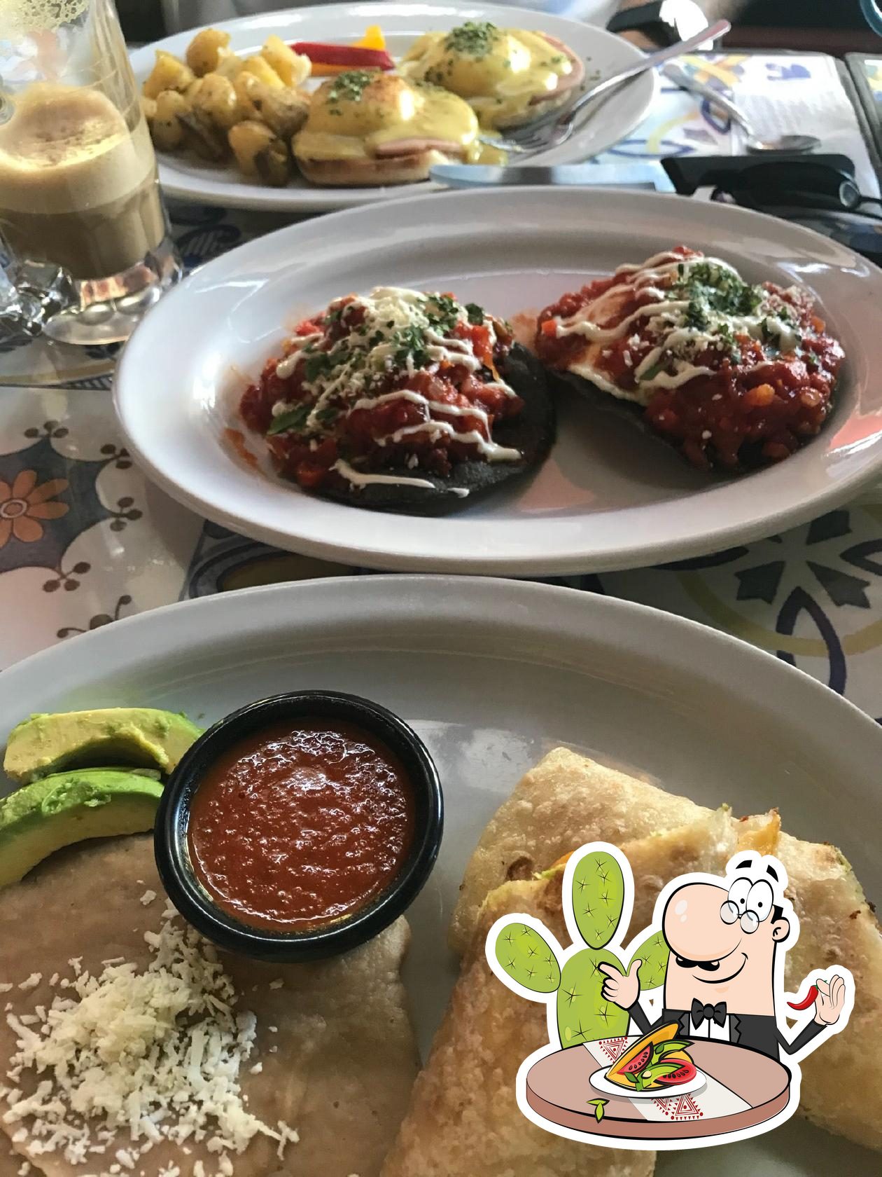 Chimichangas de agucate - Picture of Allegro Caffe, Mazatlan - Tripadvisor