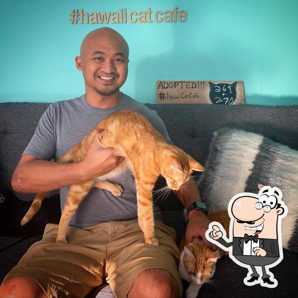 Hawaii Cat Cafe in Honolulu Restaurant menu and reviews