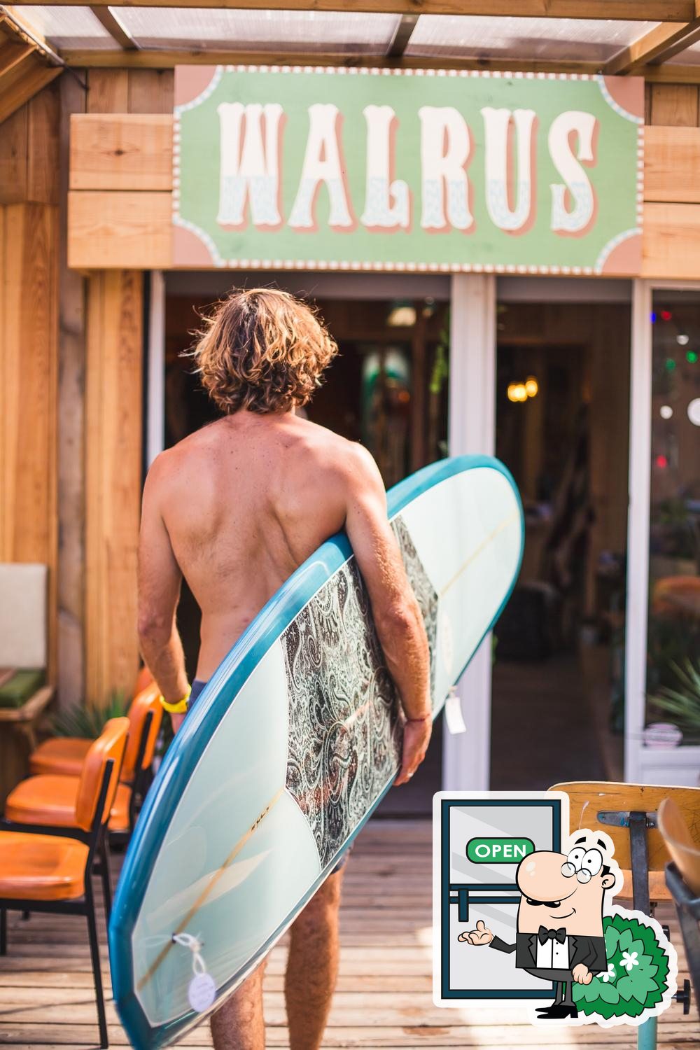 walrus surf shop