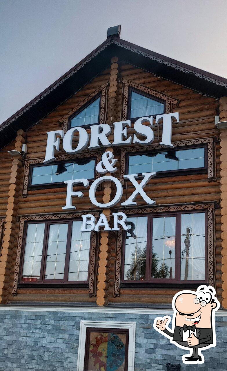 Паб и бар Forest & Fox, Тула, Староникитская улица - Меню и отзывы о  ресторане