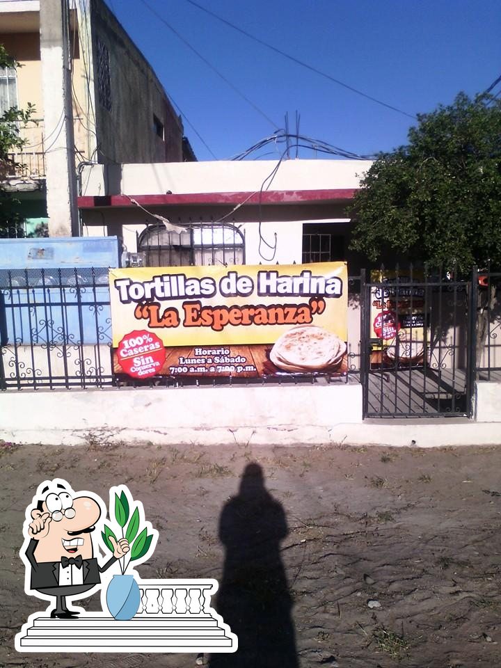 Tortillas de harina "la esperanza", Los Mochis Opiniones del restaurante