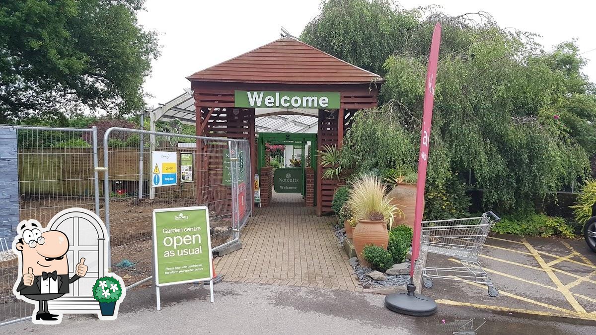 Ditchling Garden Centre Fasci Garden
