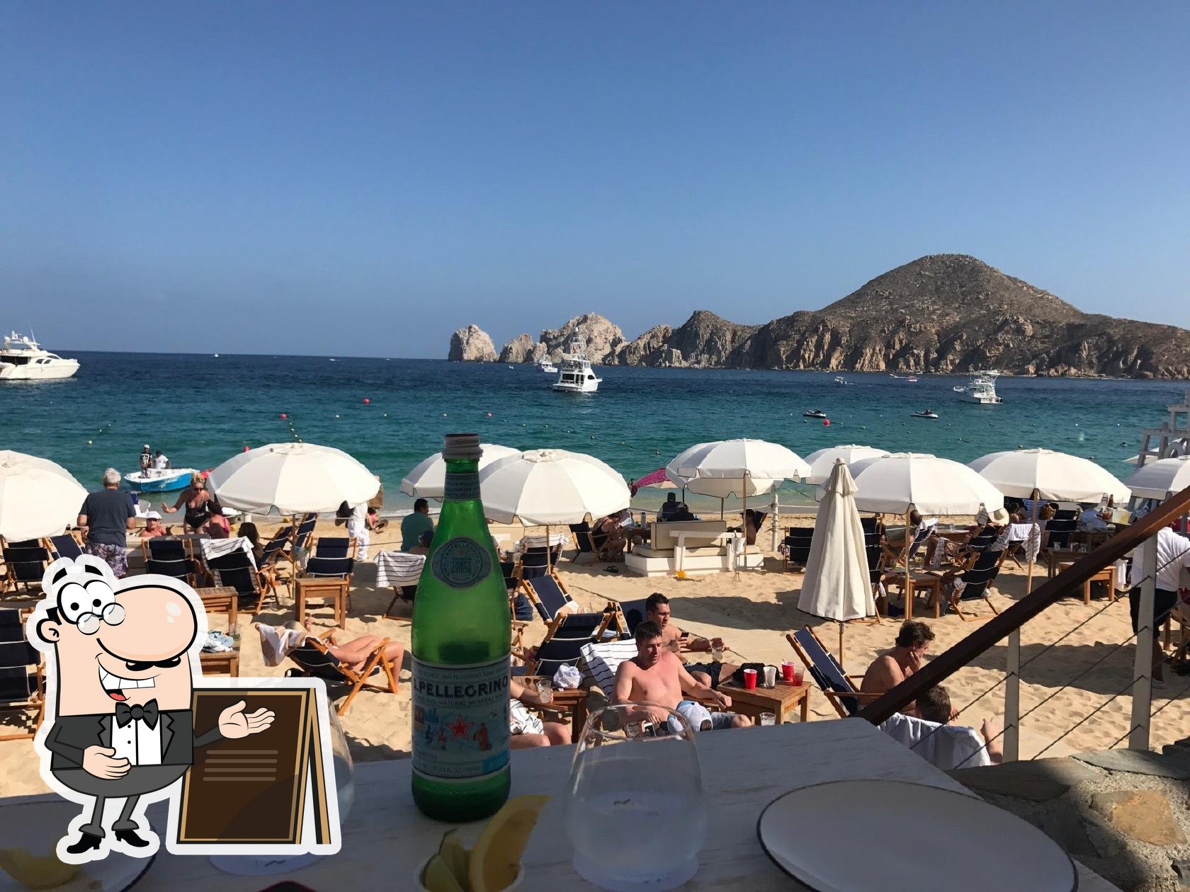 SUR Beach House pub & bar, Cabo San Lucas, Cormoranes s/n entre pelícanos y  acuario El - Restaurant menu and reviews