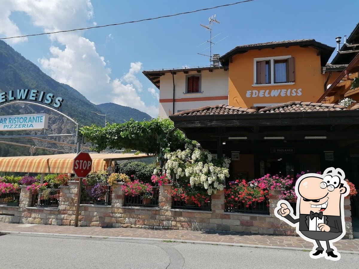 Bar Ristorante Edelweiss, Arta Terme - Restaurant reviews